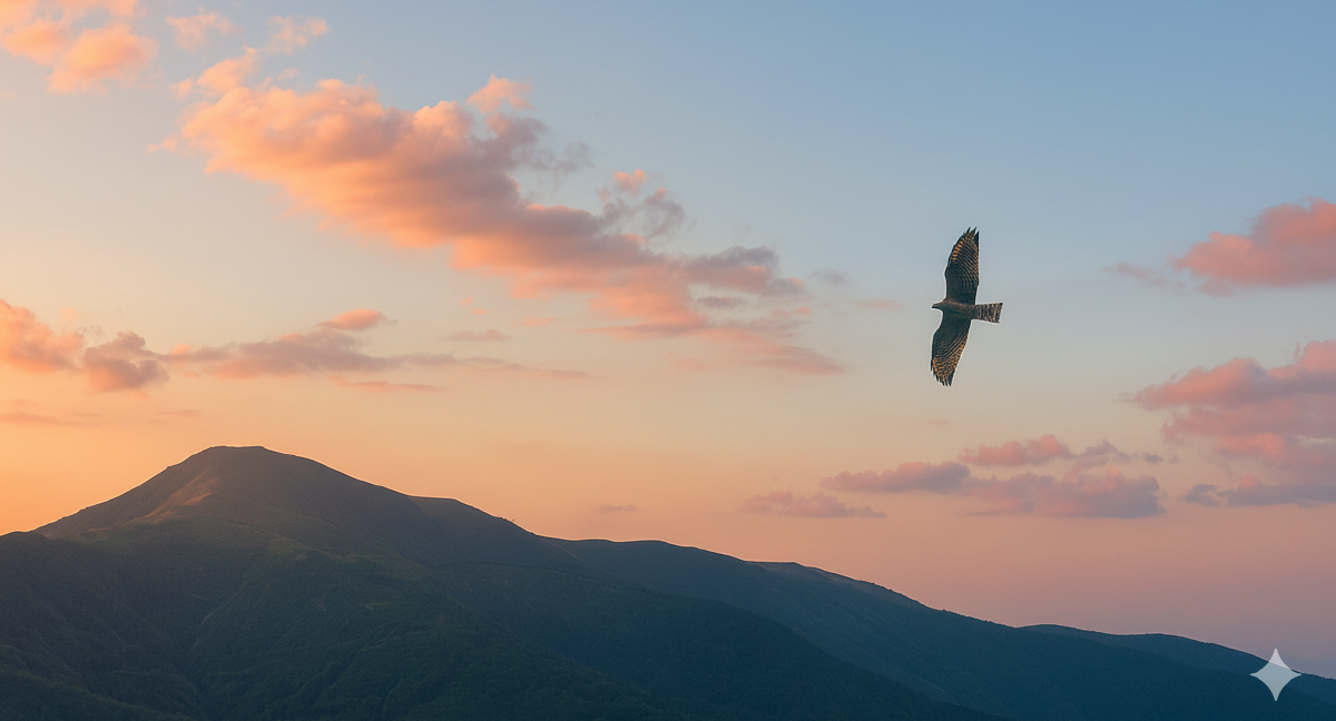 私たちについて